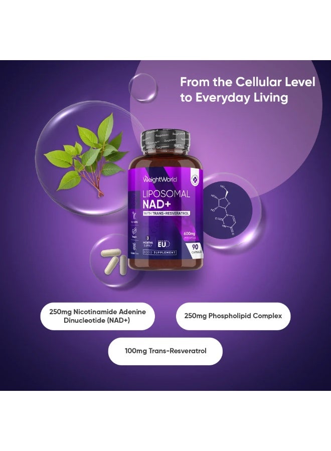 NAD+ ليبوسومال مع ريسفيراترول – يدعم الطاقة الخلوية وطول العمر – 600 مجم – 90 كبسولة – صنع في المملكة المتحدة - Image 2